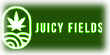 juicyFil